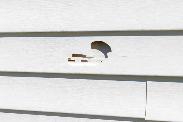 Best Brick Veneer Siding  in Albany, MN